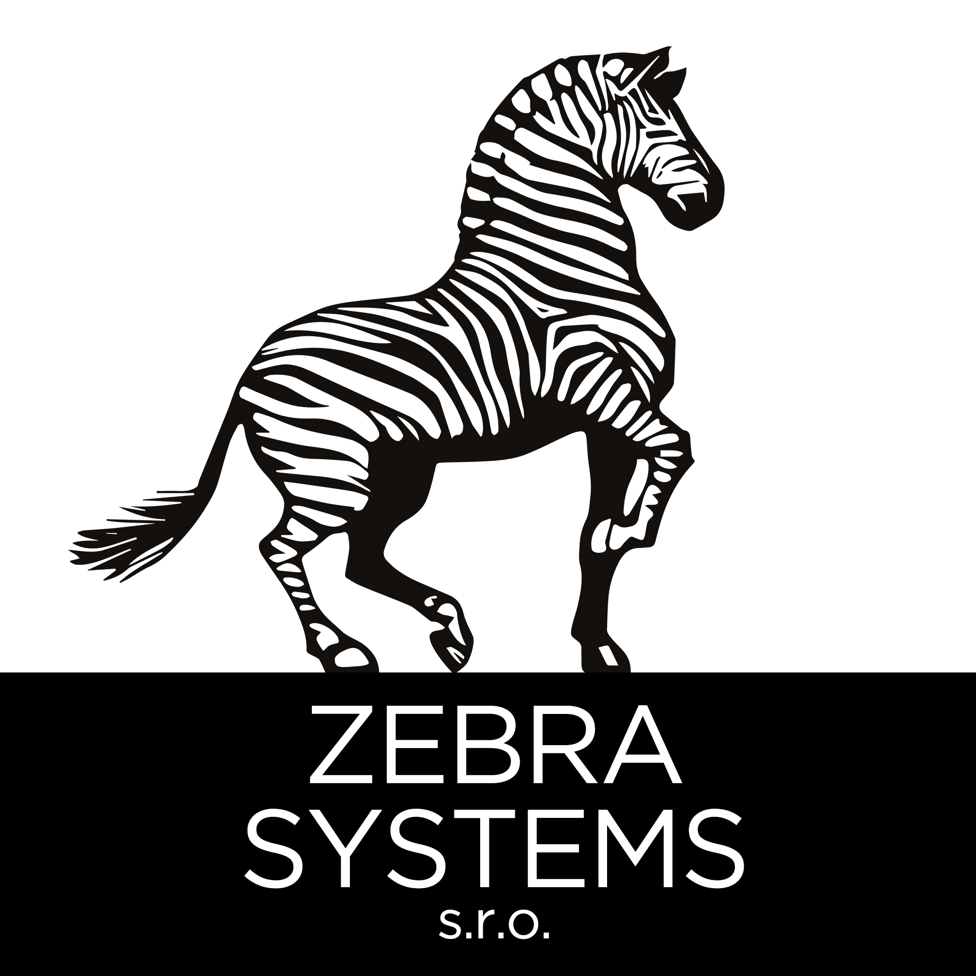 ZEBRA Systems